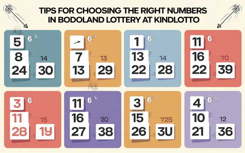 Tips for Choosing the Right Numbers in Bodoland Lottery at Kindlotto